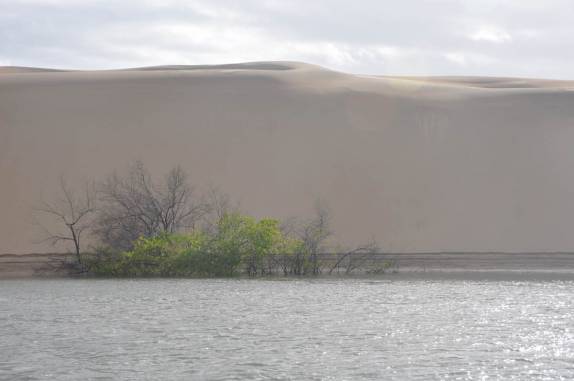 Dunas da Ilha de Lençóis, nas Reentrâncias Maranhenses - MA